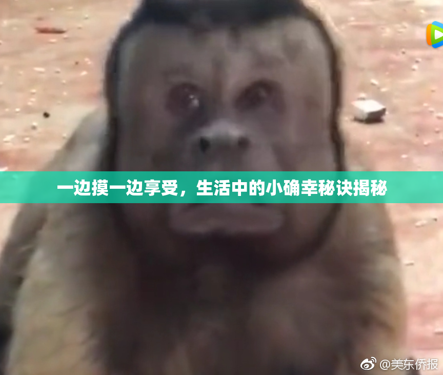 一边摸一边享受，生活中的小确幸秘诀揭秘