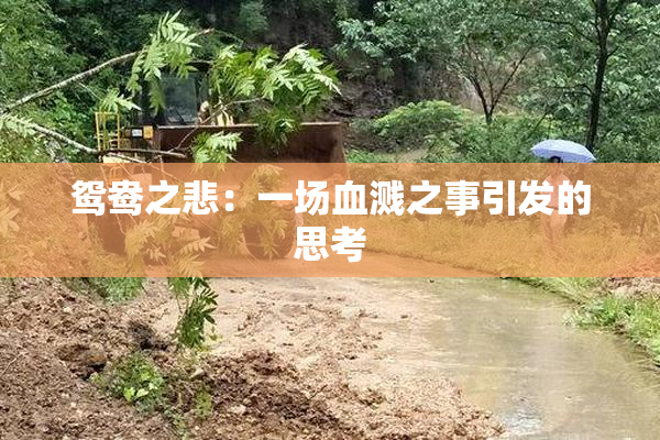 鸳鸯之悲：一场血溅之事引发的思考