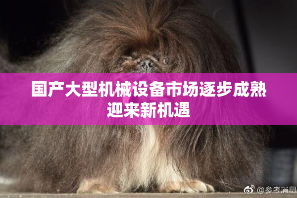 国产大型机械设备市场逐步成熟迎来新机遇