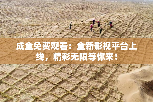 成全免费观看：全新影视平台上线，精彩无限等你来！
