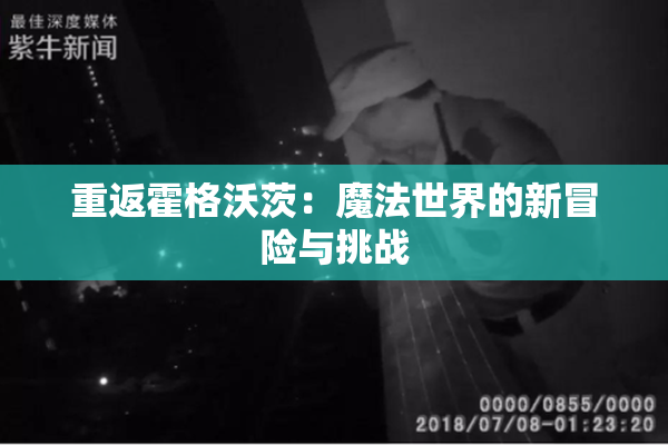 重返霍格沃茨：魔法世界的新冒险与挑战