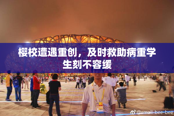 樱校遭遇重创，及时救助病重学生刻不容缓