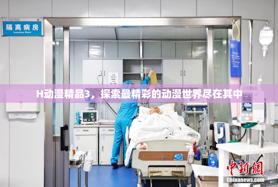 H动漫精品3，探索最精彩的动漫世界尽在其中