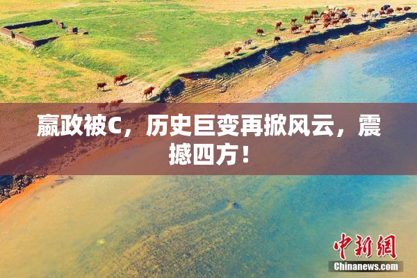 嬴政被C，历史巨变再掀风云，震撼四方！