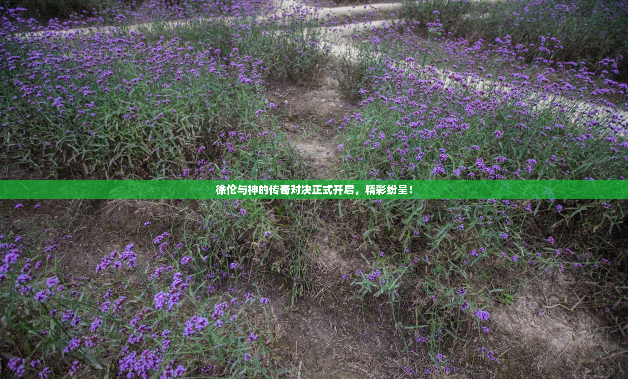 徐伦与神的传奇对决正式开启，精彩纷呈！