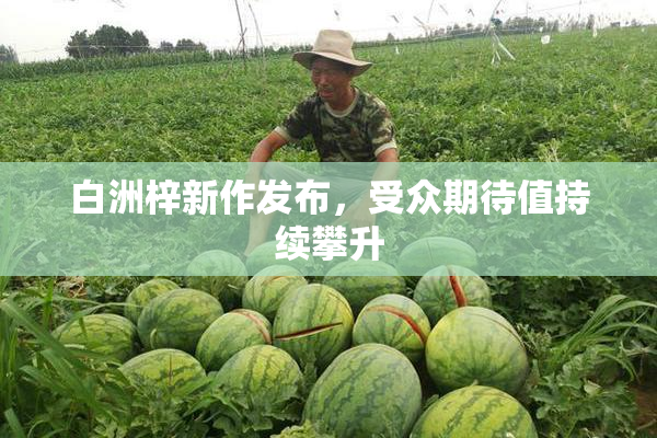 白洲梓新作发布，受众期待值持续攀升