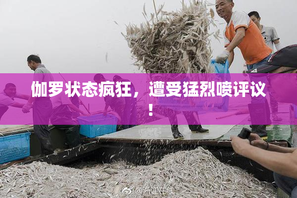伽罗状态疯狂，遭受猛烈喷评议！