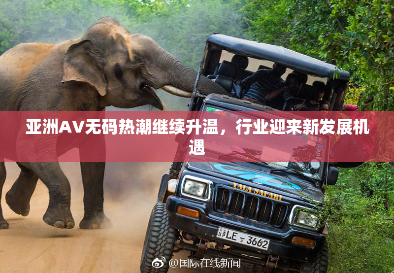亚洲AV无码热潮继续升温，行业迎来新发展机遇
