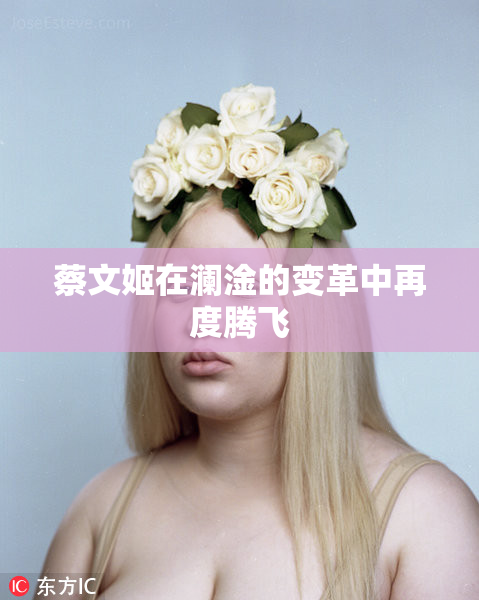 蔡文姬在澜淦的变革中再度腾飞
