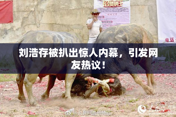 刘浩存被扒出惊人内幕，引发网友热议！