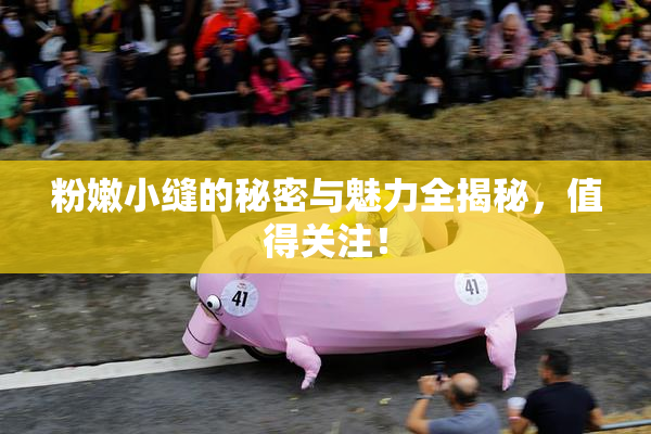 粉嫩小缝的秘密与魅力全揭秘，值得关注！