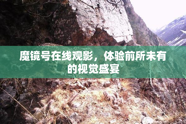 魔镜号在线观影，体验前所未有的视觉盛宴