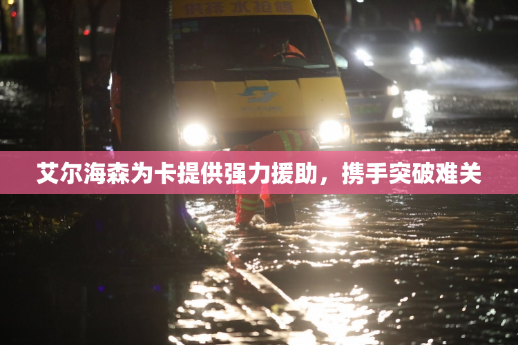 艾尔海森为卡提供强力援助，携手突破难关