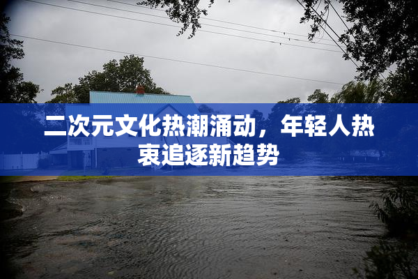二次元文化热潮涌动，年轻人热衷追逐新趋势