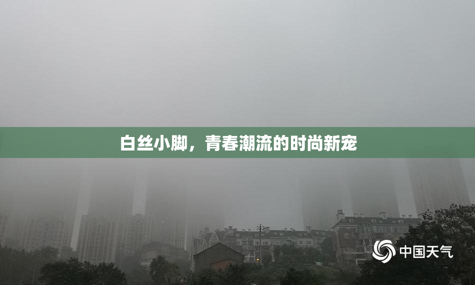 白丝小脚，青春潮流的时尚新宠