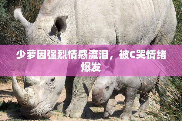 少萝因强烈情感流泪，被C哭情绪爆发