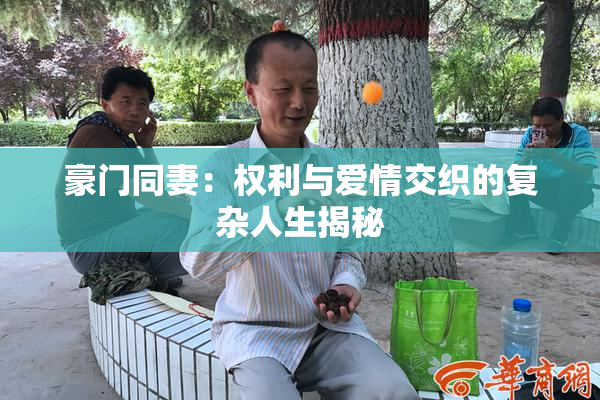 豪门同妻：权利与爱情交织的复杂人生揭秘