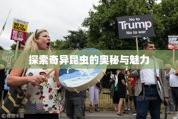 探索奇异昆虫的奥秘与魅力