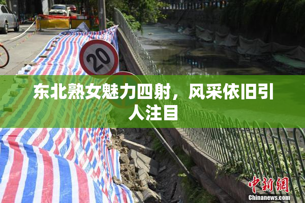 东北熟女魅力四射，风采依旧引人注目