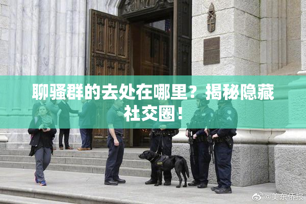 聊骚群的去处在哪里？揭秘隐藏社交圈！