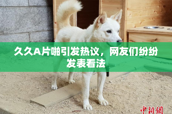久久A片啪引发热议，网友们纷纷发表看法