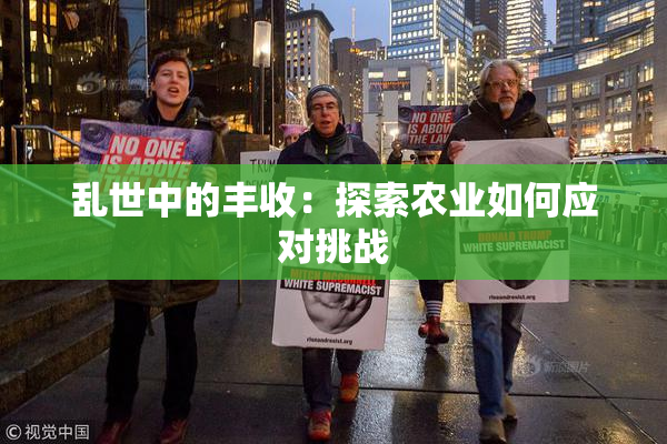 乱世中的丰收：探索农业如何应对挑战
