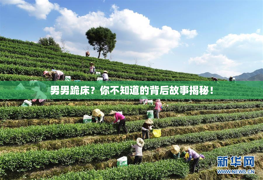 男男跪床？你不知道的背后故事揭秘！