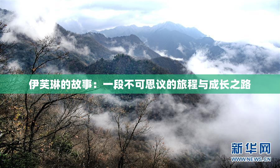 伊芙琳的故事：一段不可思议的旅程与成长之路