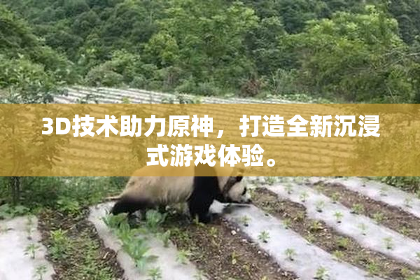 3D技术助力原神，打造全新沉浸式游戏体验。