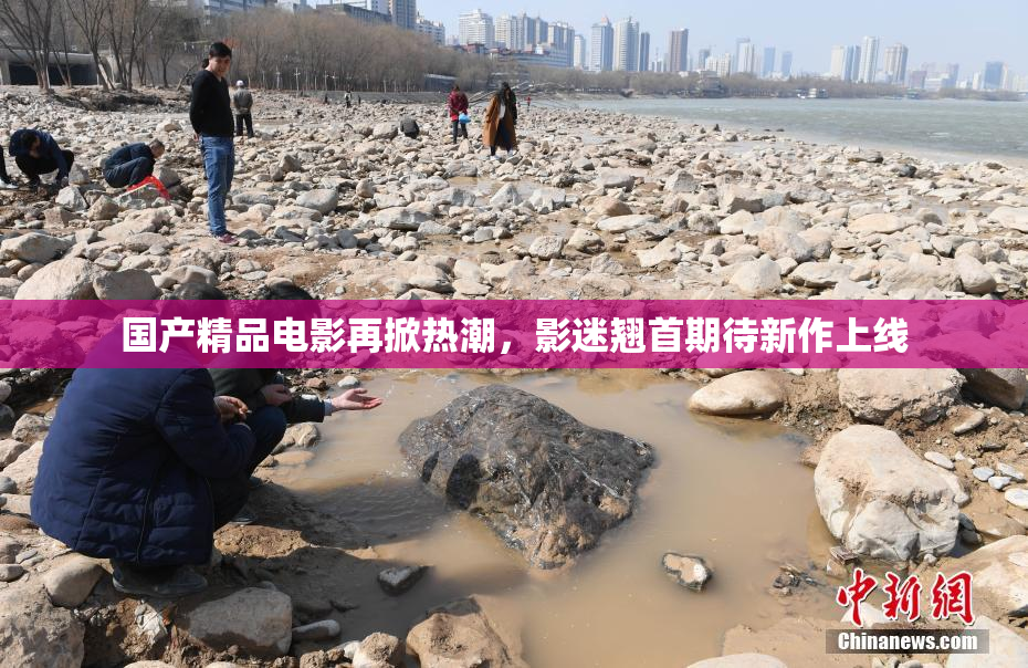 国产精品电影再掀热潮，影迷翘首期待新作上线