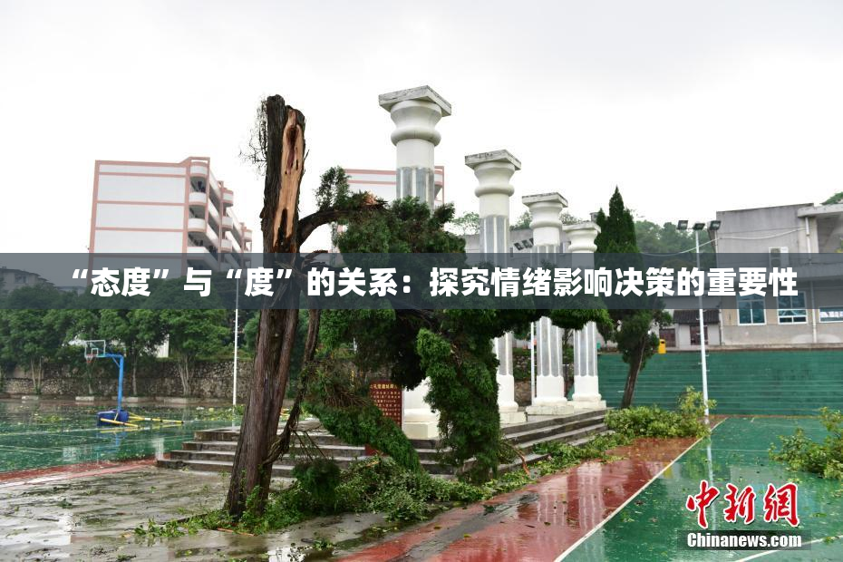 “态度”与“度”的关系：探究情绪影响决策的重要性