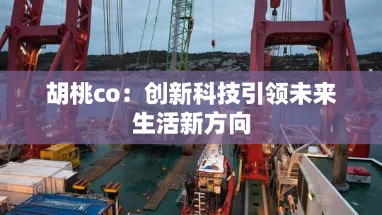 胡桃co：创新科技引领未来生活新方向