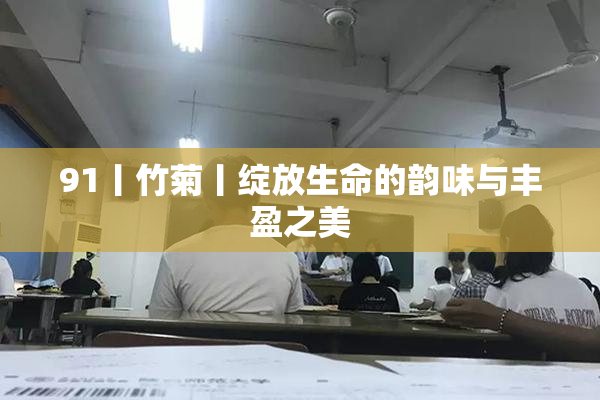 91丨竹菊丨绽放生命的韵味与丰盈之美
