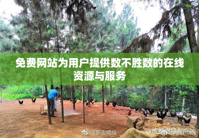 免费网站为用户提供数不胜数的在线资源与服务