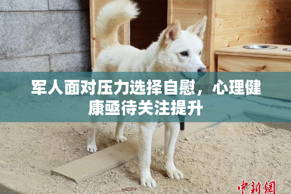 军人面对压力选择自慰，心理健康亟待关注提升