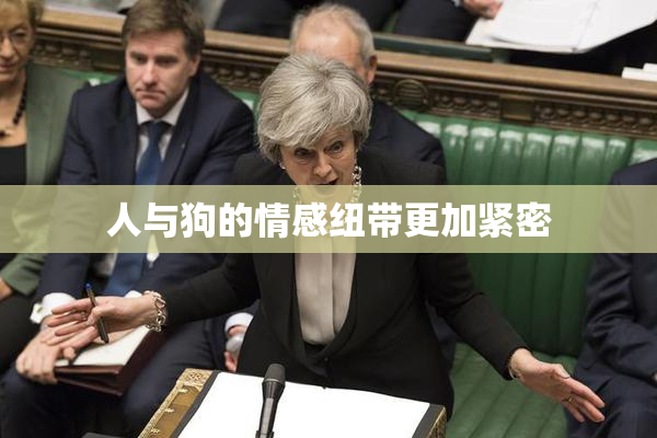 人与狗的情感纽带更加紧密