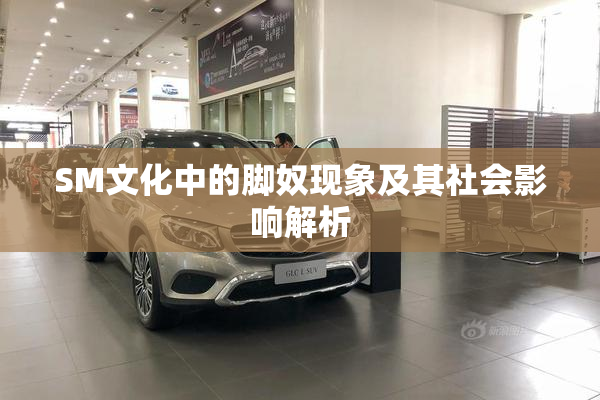 SM文化中的脚奴现象及其社会影响解析