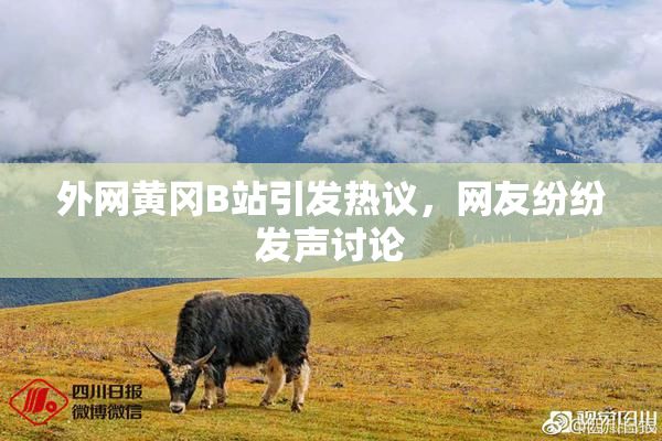外网黄冈B站引发热议，网友纷纷发声讨论
