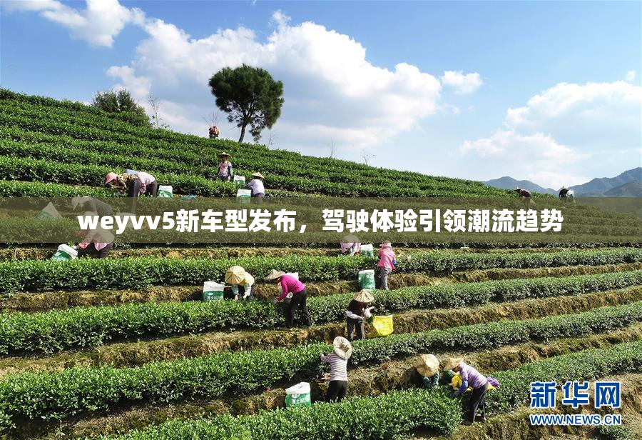 weyvv5新车型发布，驾驶体验引领潮流趋势