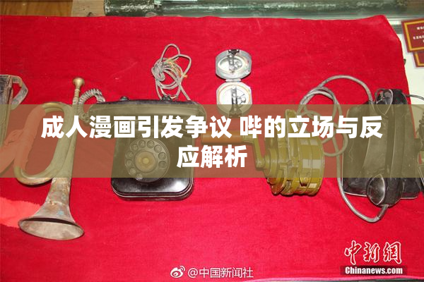 成人漫画引发争议 哔的立场与反应解析
