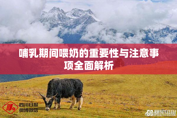 哺乳期间喂奶的重要性与注意事项全面解析