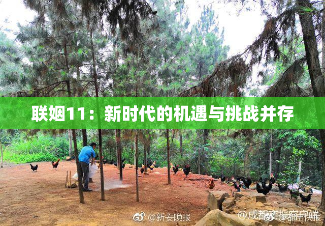 联姻11：新时代的机遇与挑战并存
