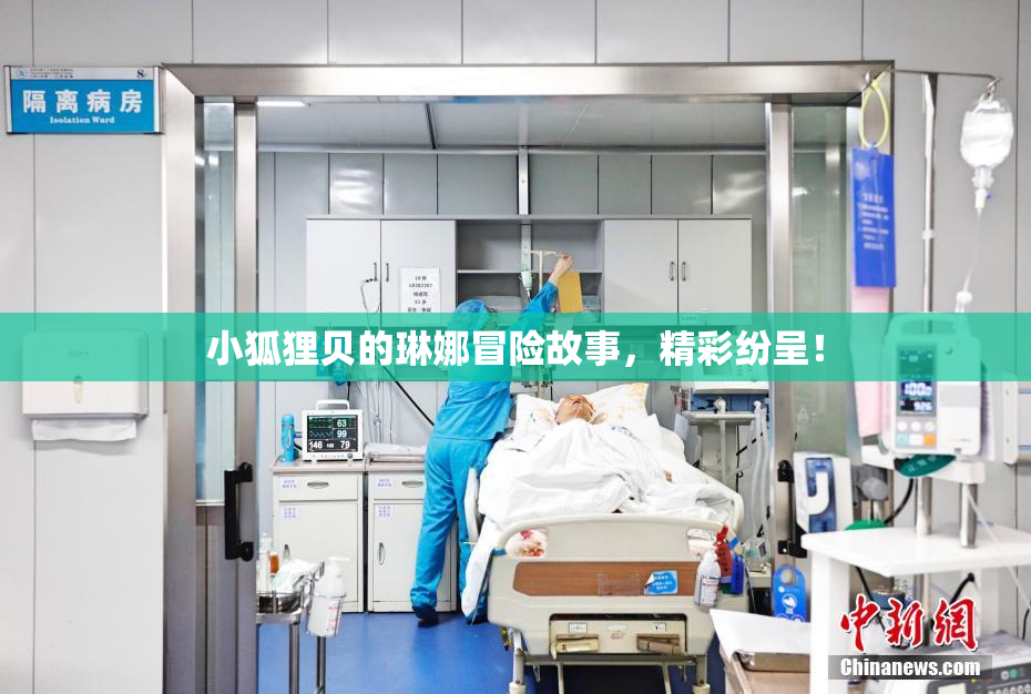 小狐狸贝的琳娜冒险故事，精彩纷呈！