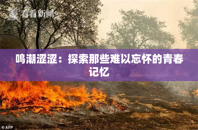 鸣潮涩涩：探索那些难以忘怀的青春记忆