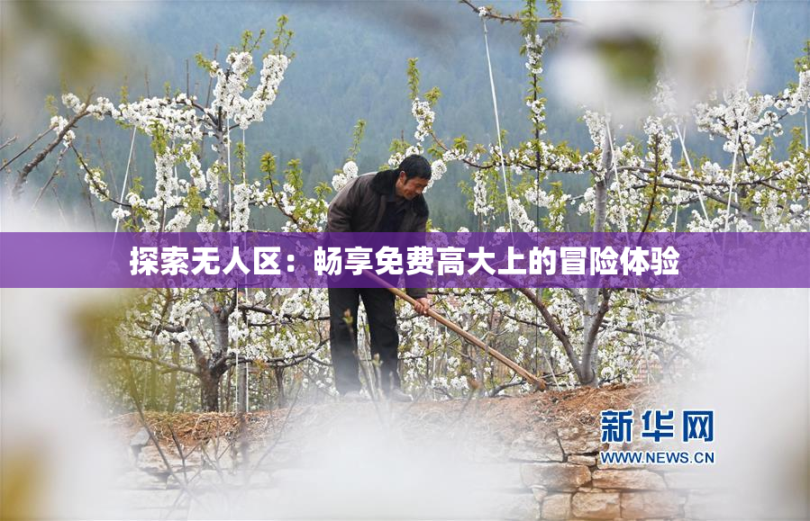 探索无人区：畅享免费高大上的冒险体验