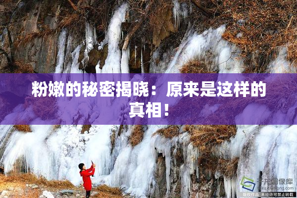 粉嫩的秘密揭晓：原来是这样的真相！