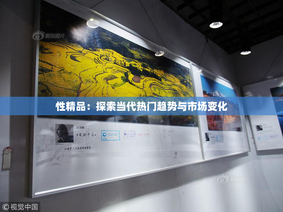 性精品：探索当代热门趋势与市场变化