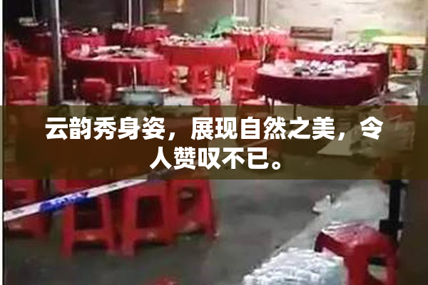 云韵秀身姿，展现自然之美，令人赞叹不已。