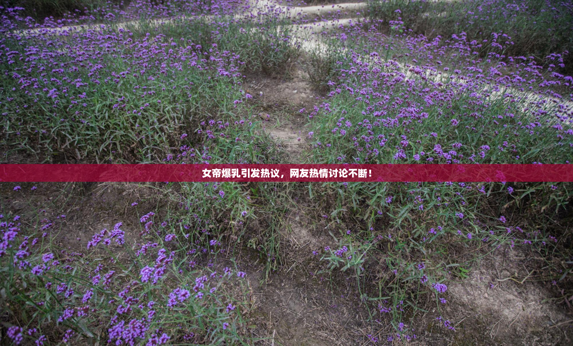 女帝爆乳引发热议，网友热情讨论不断！