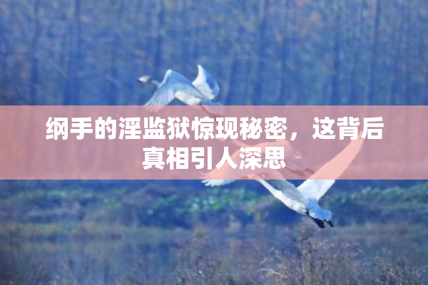 纲手的淫监狱惊现秘密，这背后真相引人深思